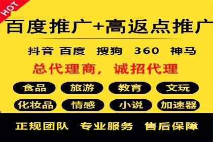 搜索引擎营销（SEM）成功案例详解